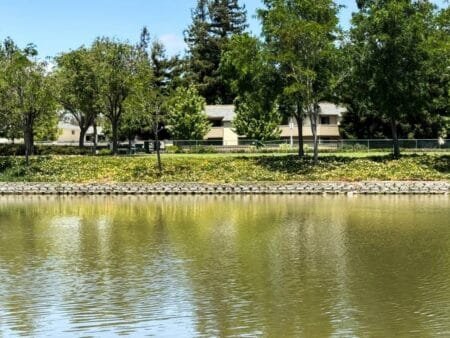 Nhà chung cư 1188 N Abbott Avenue, Milpitas, California 95035_nhamycali.com