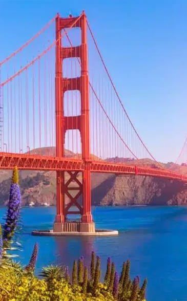 Trang chủ BAY AREA CA 2-NHAMYCALI.COM