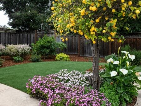 1176 E Campbell Avenue Campbell California 95008 33