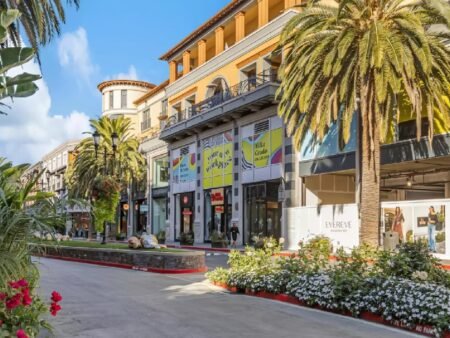 331 S Genevieve Ln San Jose CA 95128 51