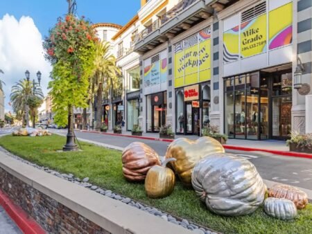 331 S Genevieve Ln San Jose CA 95128 52