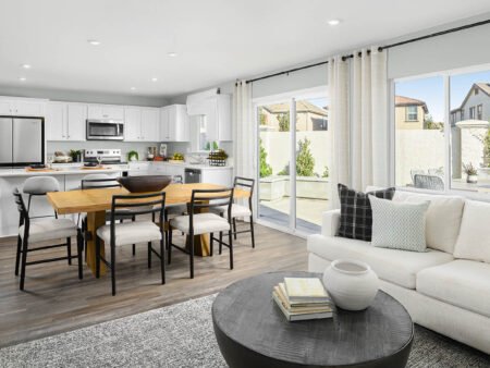 Plan 3 5 Lathrop San Joaquin river Landing Soaring DR CA 95330 800x450 1