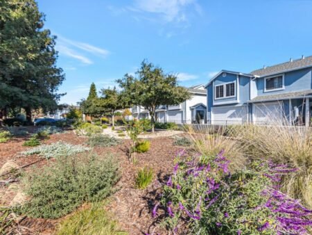 150 Colonade Square San Jose Ca 95127 37