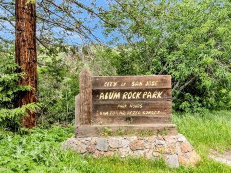 11020 Enchanto Vista Drive San Jose Ca 95127 53