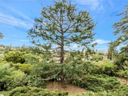 11020 Enchanto Vista Drive San Jose Ca 95127 57