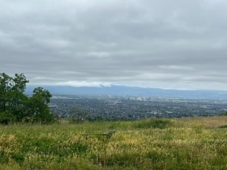 13590 Clayton Road San Jose CA 95127 188