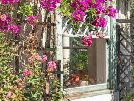 841 Willis Avenue San Jose CA 95125 119