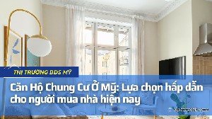 Căn Hộ Chung Cư Ở Mỹ: Lựa chọn hấp dẫn cho người mua nhà hiện nay