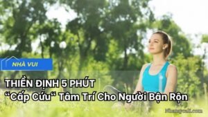 Thiền Định 5 Phút: "Cấp Cứu" Tâm Trí Cho Người Bận Rộn