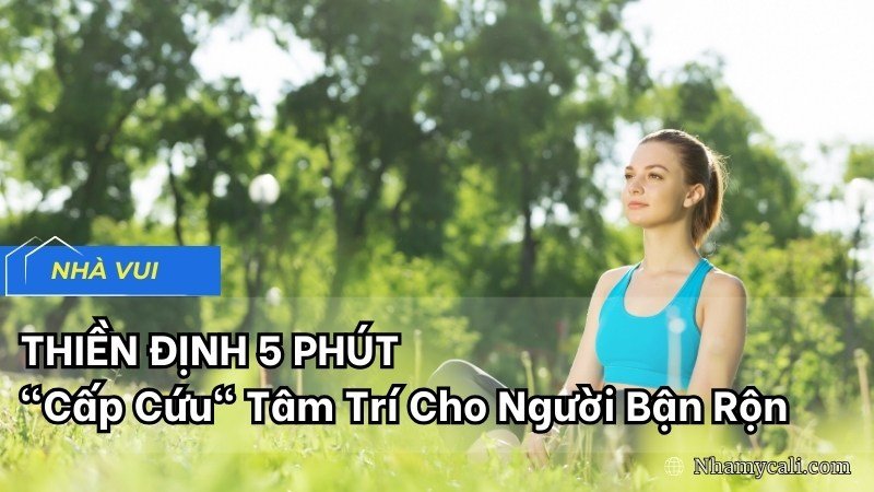 Thiền Định 5 Phút: "Cấp Cứu" Tâm Trí Cho Người Bận Rộn