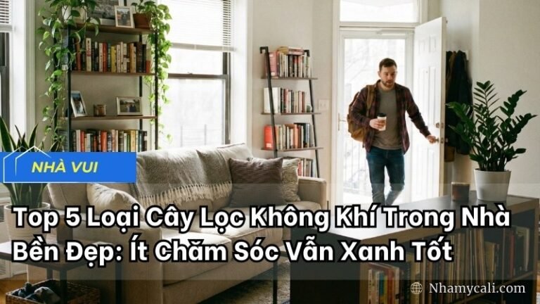 Top 5 Loại Cây Lọc Không Khí Trong Nhà Bền Đẹp: Ít Chăm Sóc Vẫn Xanh Tốt
