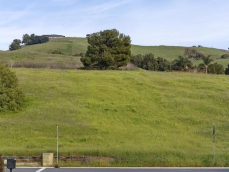 1103 Creed Street Milpitas CA 95035 218