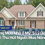 Xu Hướng Mua Nhà ở Mỹ: 5 Lý Do Nhà Xây Mới Thu Hút Người Mua Nâng Cấp