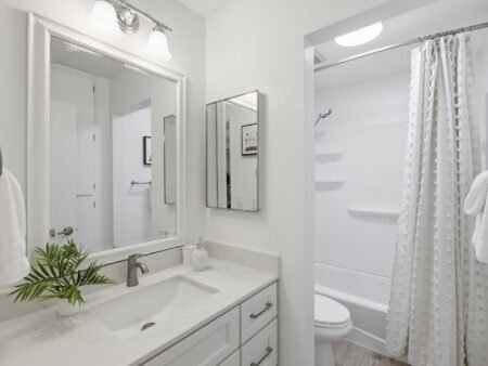 5264 Borneo Circle San Jose Ca 95123 118