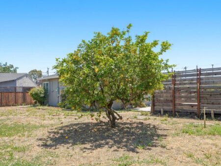 Nhà 3PN Gần Rose Garden Lot Lớn Tiềm Năng ADU | Walnut Grove, CA 95126 1895 Walnut Grove Avenue San Jose California 95126 39