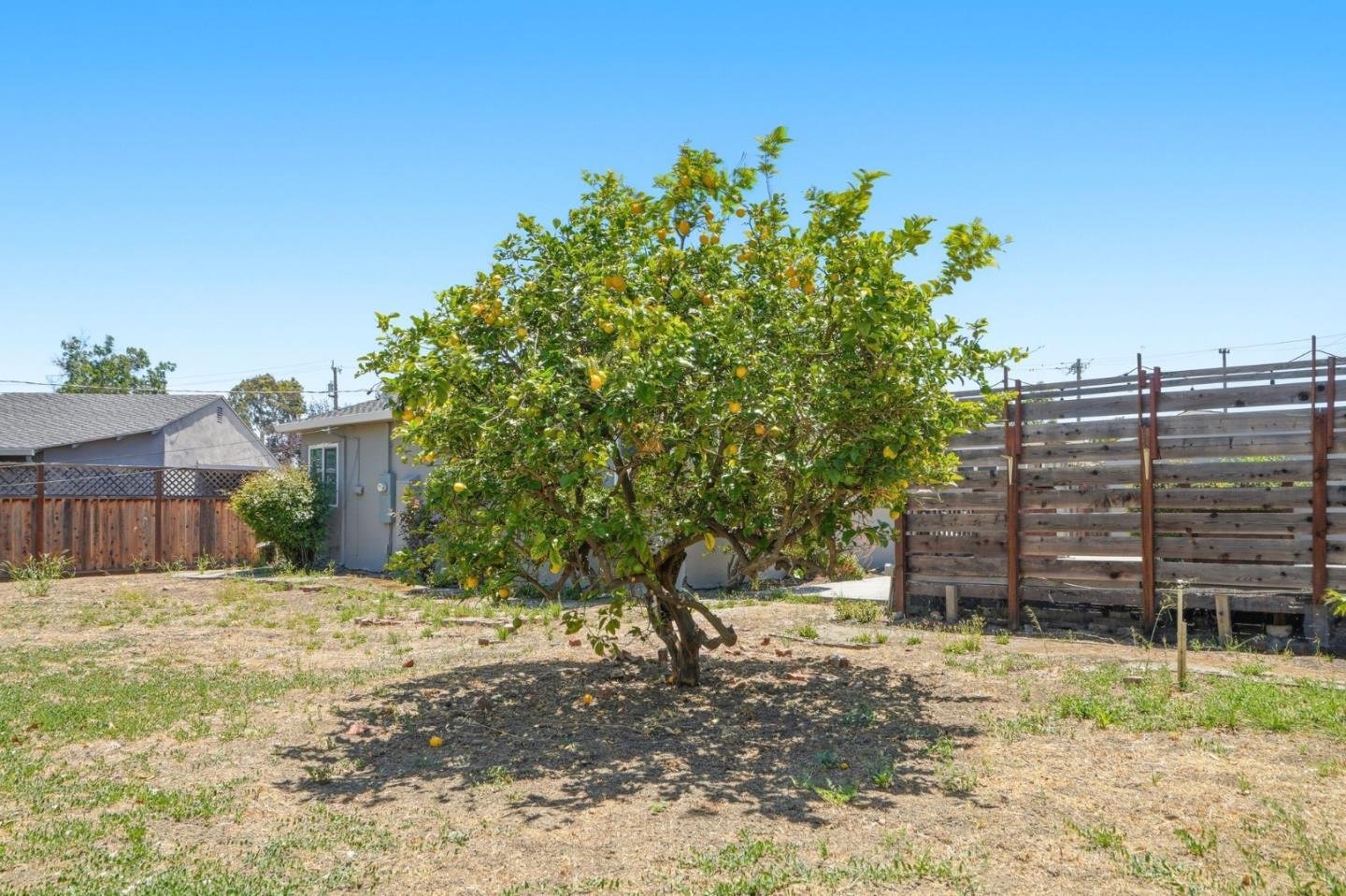 1895_Walnut_Grove_Avenue_San_Jose_California_95126_39 1895 Walnut Grove Avenue San Jose California 95126 39